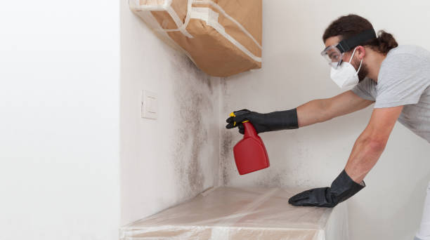 Professional Crawl Space Mold Remediation technician working in Medford, NY